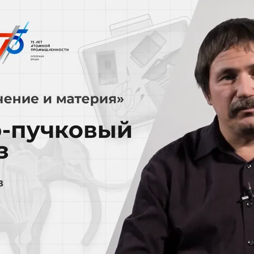 Ионно-пучковый анализ